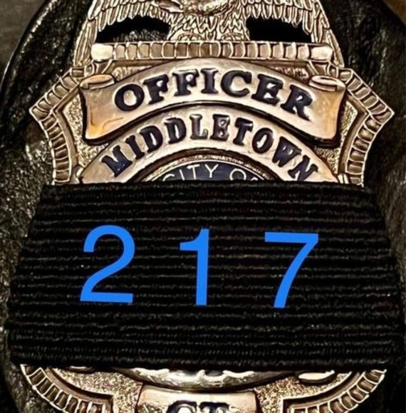 Meet your Posher, David - Picture 1 of 1